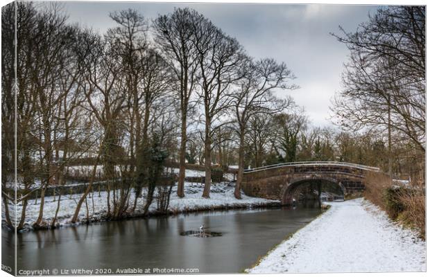 Lancaster Canal in Winter Canvas Print by Liz Withey