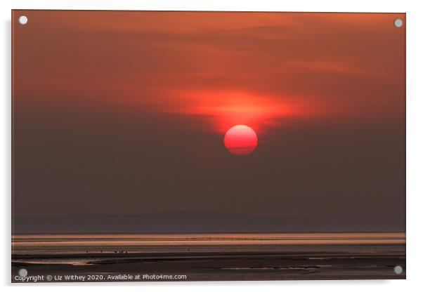 Sunset Morecambe Bay Acrylic by Liz Withey