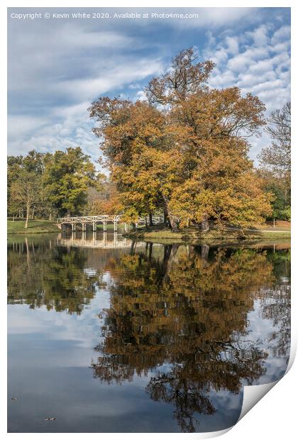 Autumn colours at Painshill  Print by Kevin White