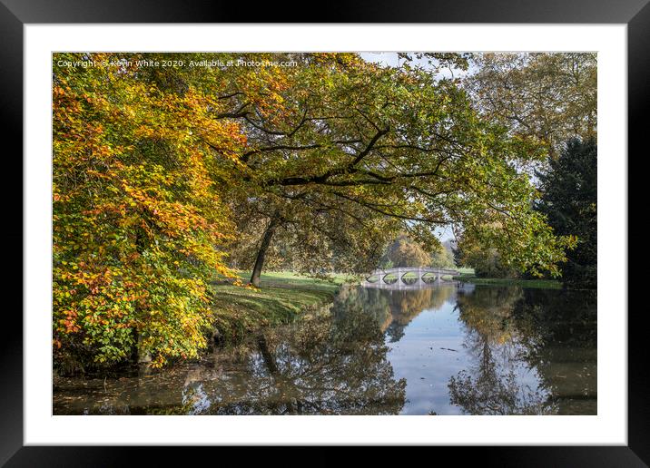 Autumn comes to Cobham Framed Mounted Print by Kevin White