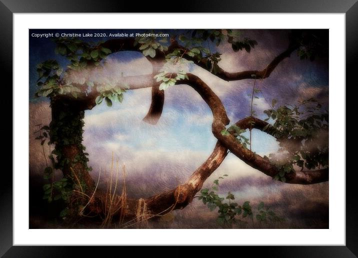 Fantasy Dawn Framed Mounted Print by Christine Lake