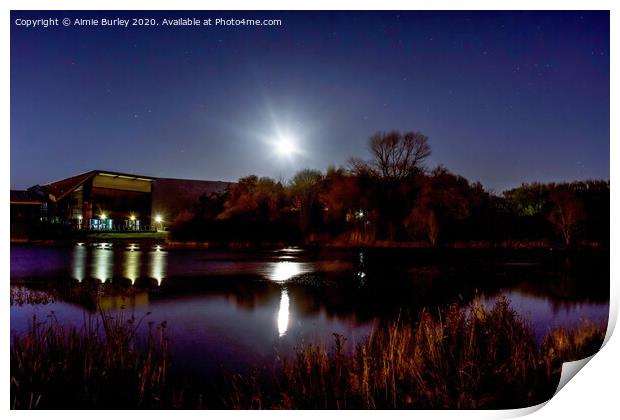 The Lakeside in the Moonlight  Print by Aimie Burley