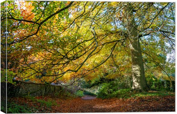 South Downs Autumn Hues Canvas Print by Malcolm McHugh