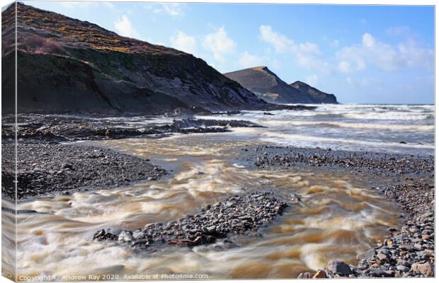 Stream at Crackington Haven Canvas Print by Andrew Ray