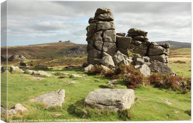 Hound Tor view (Dartmoor) Canvas Print by Andrew Ray