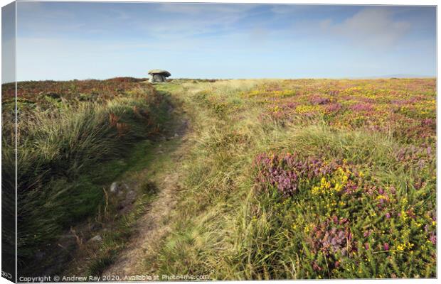 Path to Chun Quoit Canvas Print by Andrew Ray