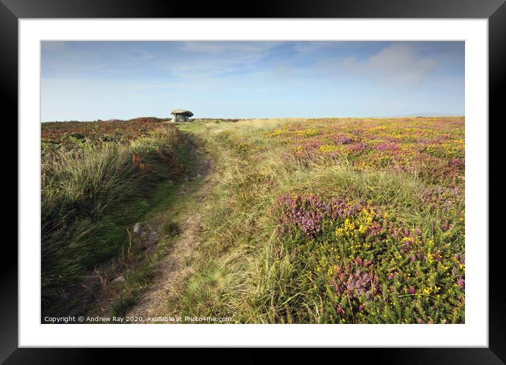 Path to Chun Quoit Framed Mounted Print by Andrew Ray