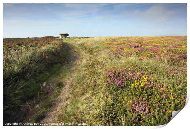 Path to Chun Quoit Print by Andrew Ray