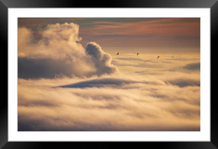 Birds flying over an inversion at sunrise Framed Mounted Print by John Finney