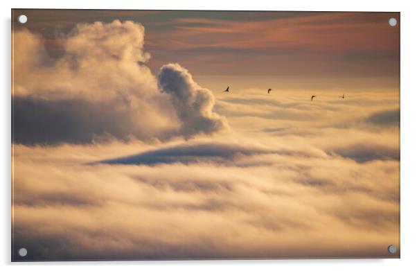 Birds flying over an inversion at sunrise Acrylic by John Finney
