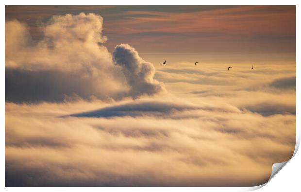 Birds flying over an inversion at sunrise Print by John Finney