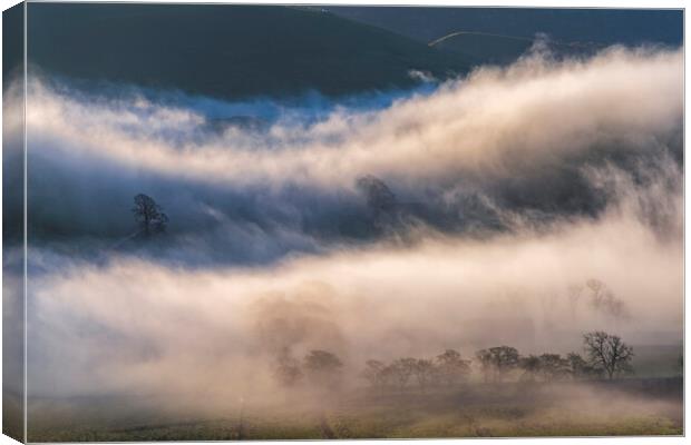 Trees in the fog, Perry Dale Canvas Print by John Finney