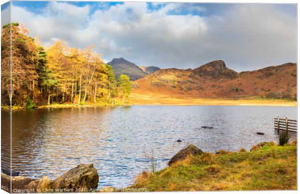 Lake District - Blea Tarn and the Langdale Pikes Canvas Print by Chris Warham