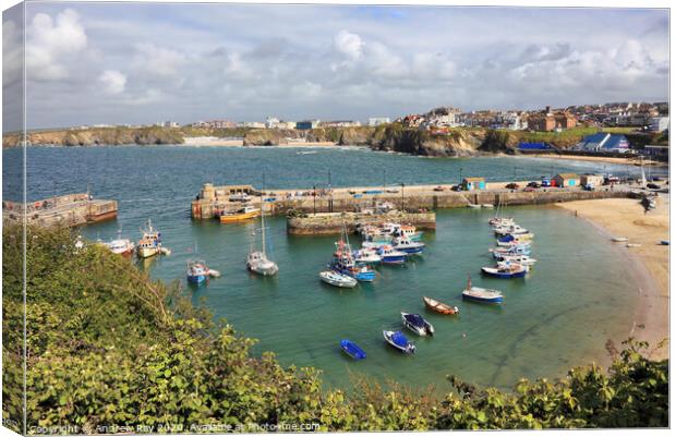 Newquay Harbour Canvas Print by Andrew Ray