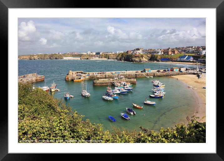 Newquay Harbour Framed Mounted Print by Andrew Ray