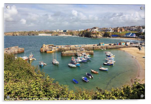 Newquay Harbour Acrylic by Andrew Ray