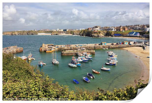Newquay Harbour Print by Andrew Ray