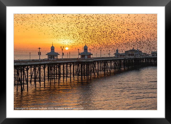 Starlings at Sunset Framed Mounted Print by Caroline James