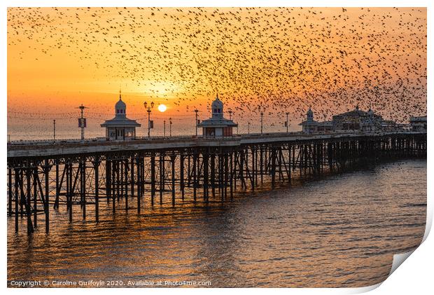 Starlings at Sunset Print by Caroline James