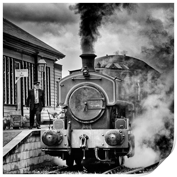 'Salmon' at Milton of Crathes station on the Deesi Print by Andrew Davies
