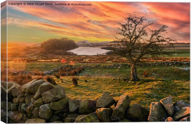 Hadrians Wall from Once Brewed Canvas Print by Peter Stuart