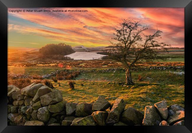 Hadrians Wall from Once Brewed Framed Print by Peter Stuart