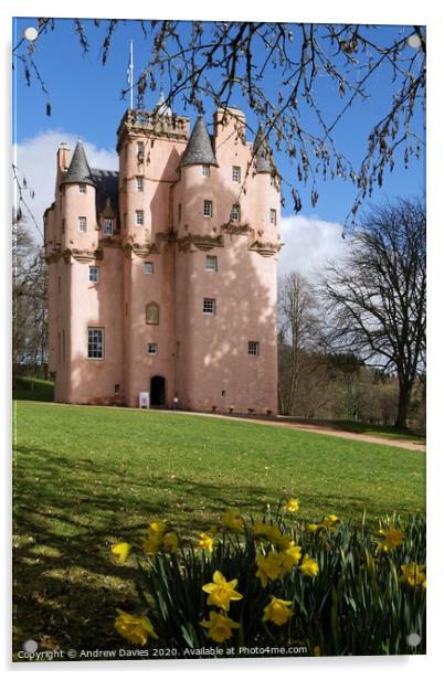 Craigievar Castle, Aberdeenshire, on a bright spring morning Acrylic by Andrew Davies