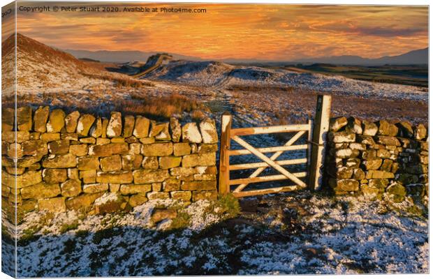 Hadrians Wall from Once Brewed Canvas Print by Peter Stuart