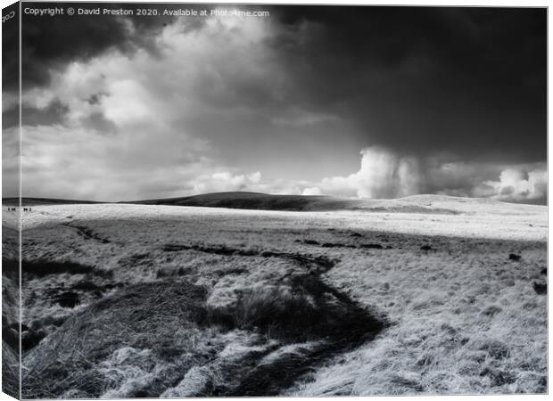 Approaching Storm, Pennine Way, Marsden, UK Canvas Print by David Preston