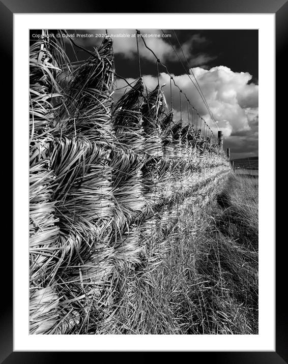 Windswept Fence Framed Mounted Print by David Preston
