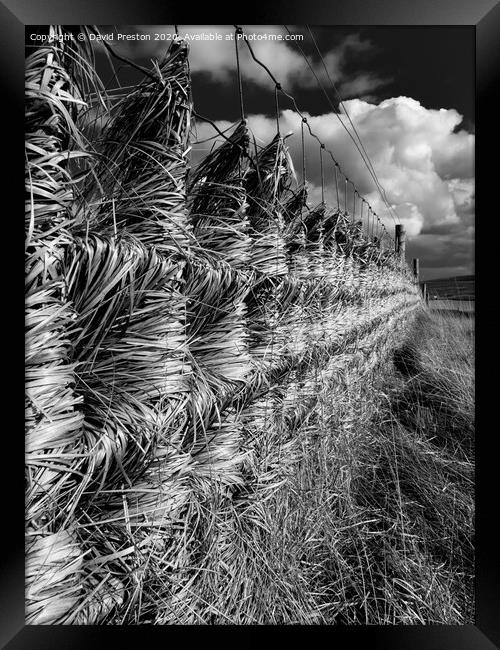 Windswept Fence Framed Print by David Preston