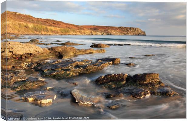 Nare Head Canvas Print by Andrew Ray