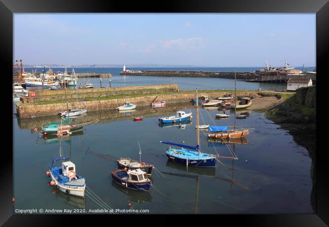 Old Harbour View (Newlyn) Framed Print by Andrew Ray