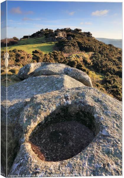 Helman Tor Canvas Print by Andrew Ray