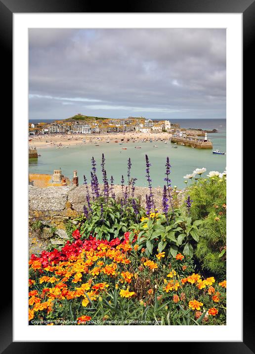 Floral display (St Ives) Framed Mounted Print by Andrew Ray