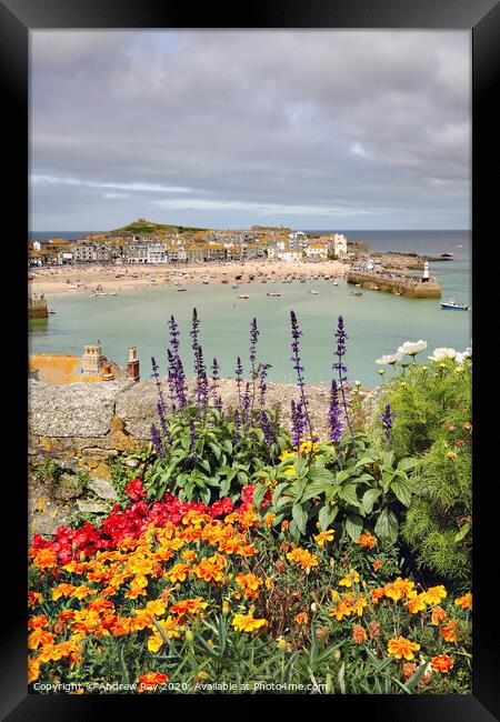 Floral display (St Ives) Framed Print by Andrew Ray