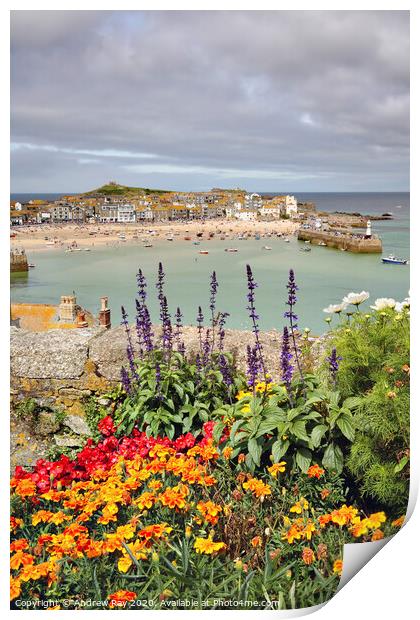 Floral display (St Ives) Print by Andrew Ray