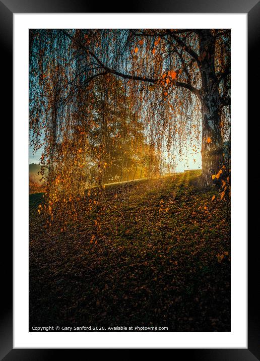 Essex Autumn Morning Framed Mounted Print by Gary Sanford