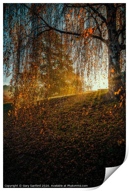 Essex Autumn Morning Print by Gary Sanford