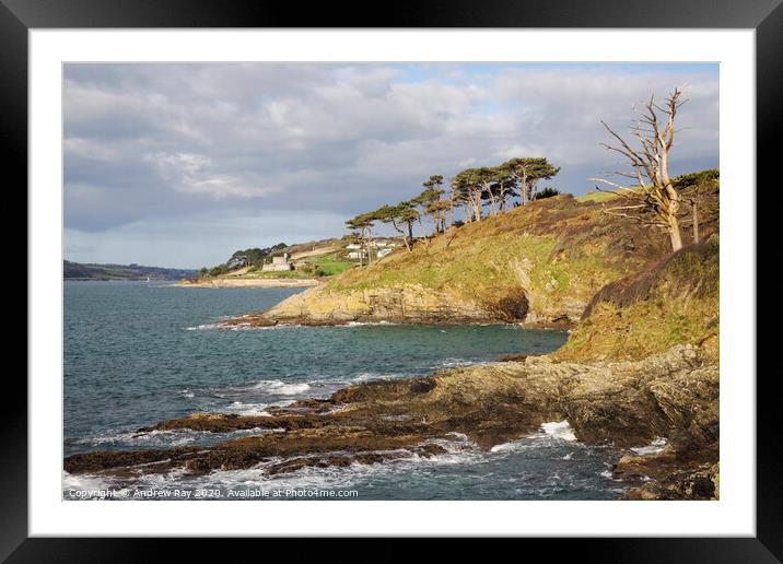 Towards St Mawes Castle Framed Mounted Print by Andrew Ray