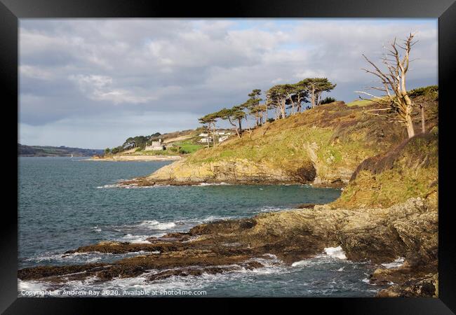 Towards St Mawes Castle Framed Print by Andrew Ray