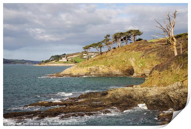 Towards St Mawes Castle Print by Andrew Ray