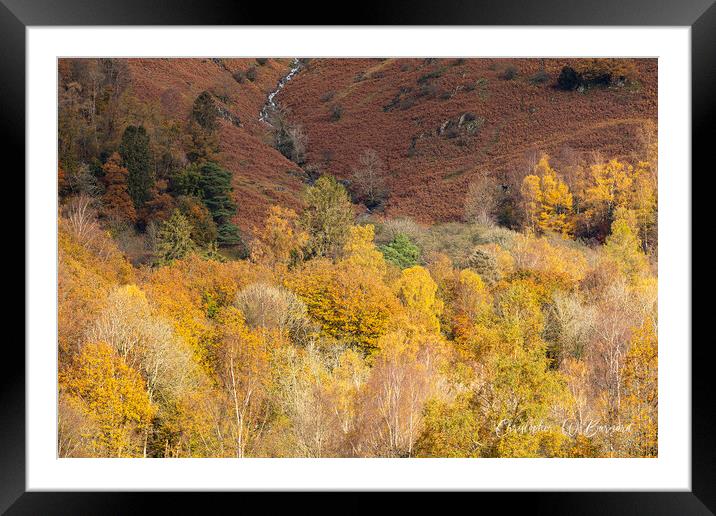 Autumn Colours Lake District Framed Mounted Print by CHRIS BARNARD