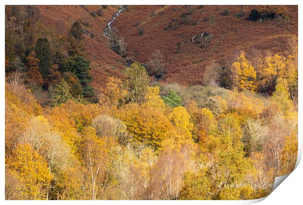 Autumn Colours Lake District Print by CHRIS BARNARD