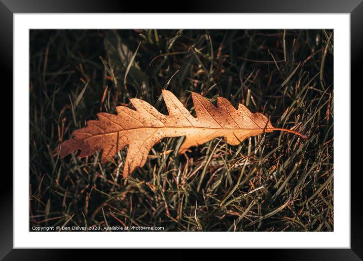 Leaf on the grass Framed Mounted Print by Ben Delves