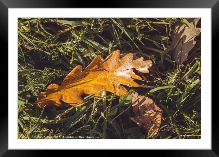 fallen leaves Framed Mounted Print by Ben Delves