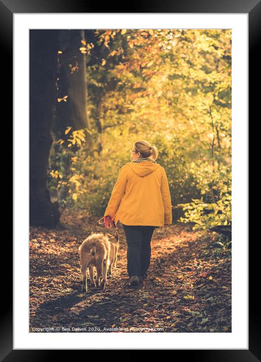 Walking the dogs through the woods Framed Mounted Print by Ben Delves