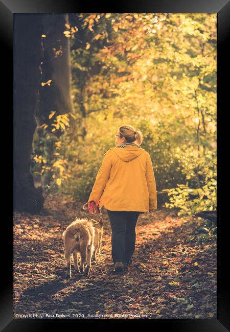 Walking the dogs through the woods Framed Print by Ben Delves
