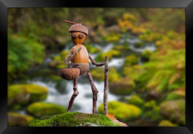 Little Acorn Man Walking along Stream Framed Print by Arterra 