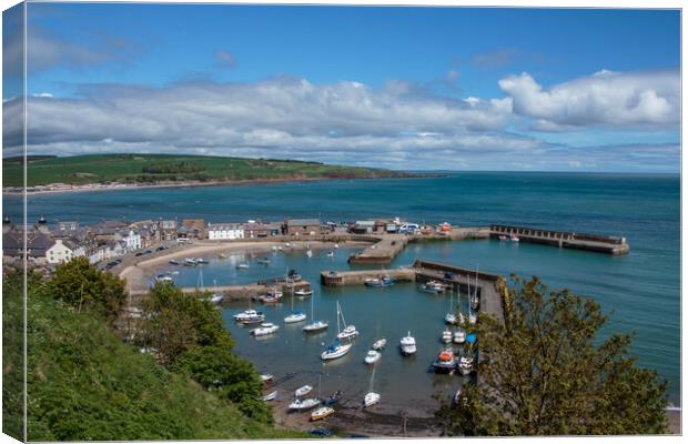 Stonehaven Harbour  Canvas Print by Wendy Williams CPAGB